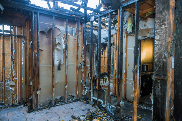 Professional Structural Rebuild technician working in Frankston, TX